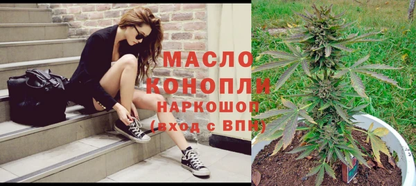 крисы Абаза