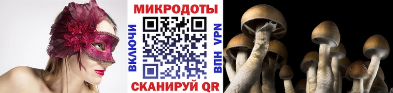 нарко площадка формула  Гусь-Хрустальный  Галлюциногенные грибы Magic Shrooms 
