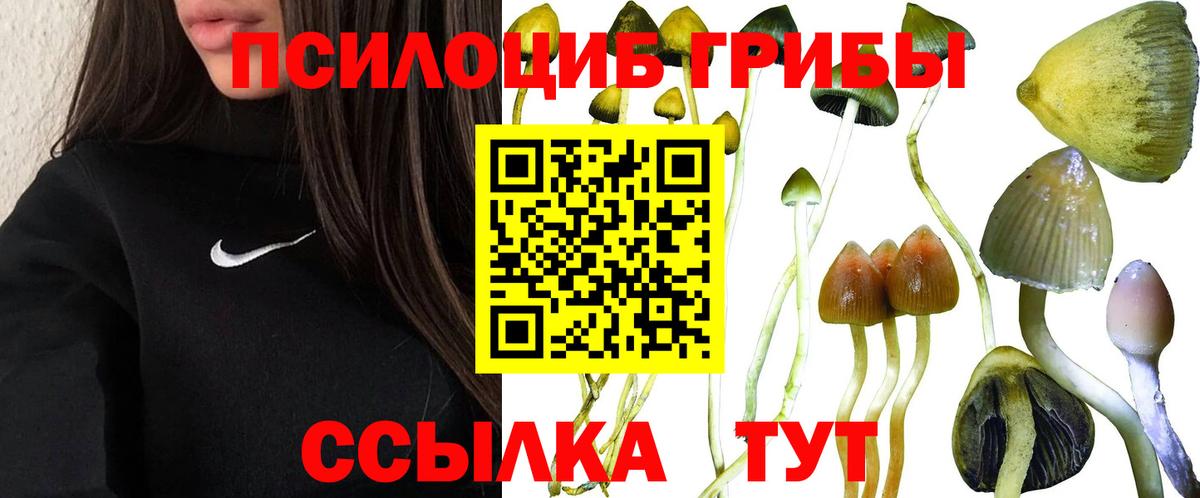 Гусь-Хрустальный  Псилоцибиновые грибы мицелий  Галлюциногенные грибы Magic Shrooms  Вход с VPN 